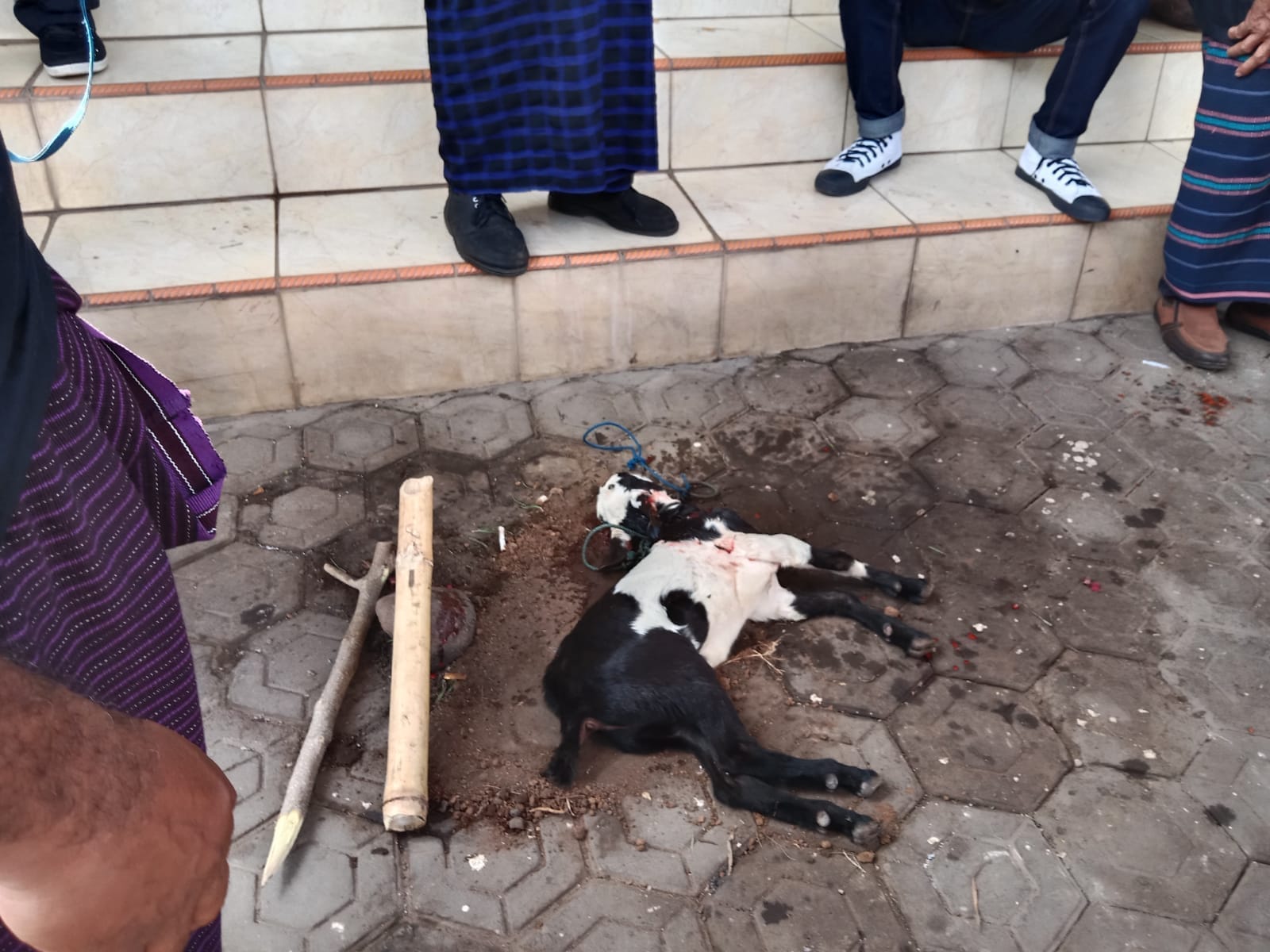 Agustinus Siswani Iri, Pilkades Lewoingu