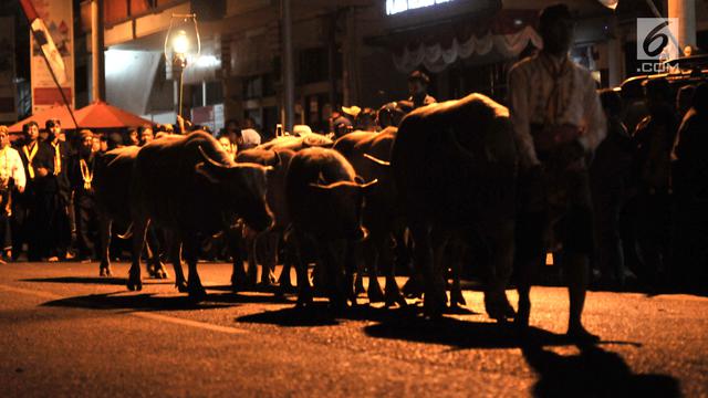 Kerbau, Kirab, Kyai Slamet, Solo, suro