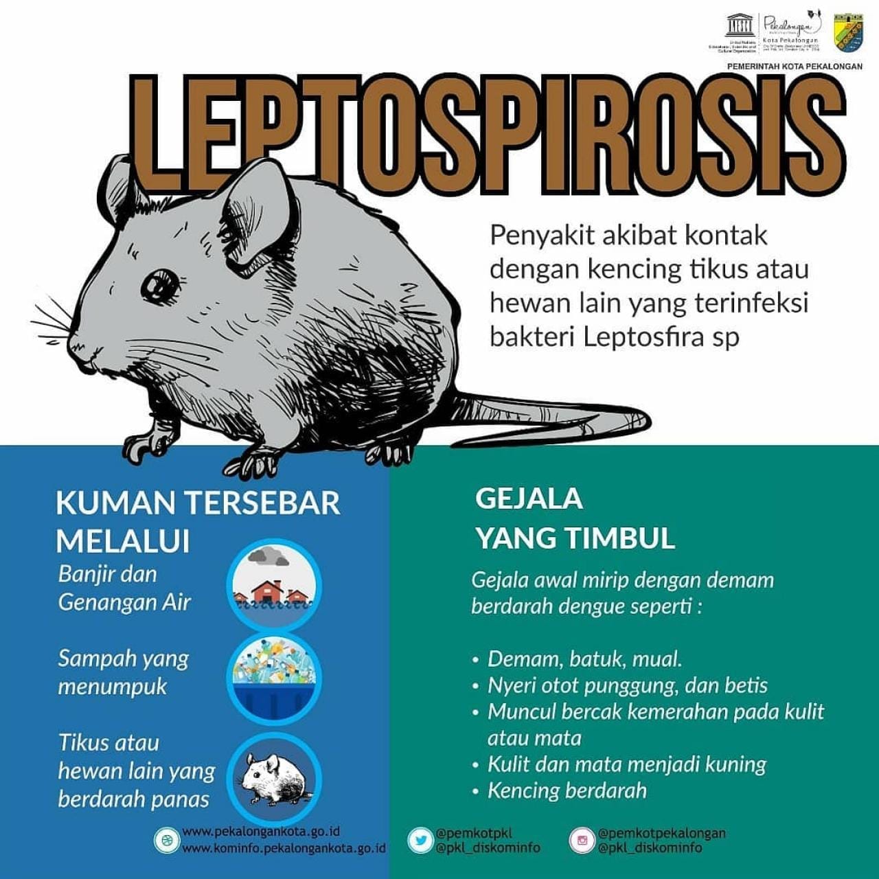Jateng, Leptospirosis, Meninggal, Penyakit