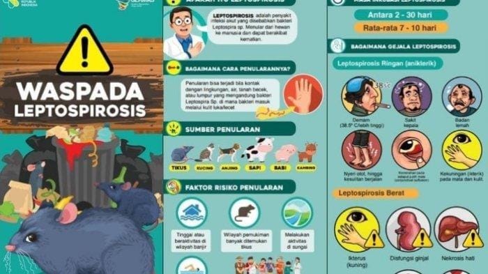 Jateng, Kenali Gejala Leptospirosis, Leptospirosis, Meninggal, Penyakit