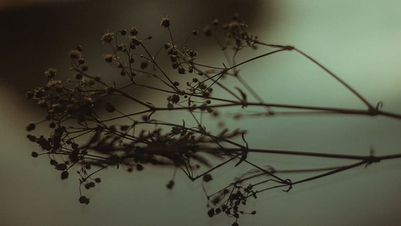 kata, motivasi, Sia sia