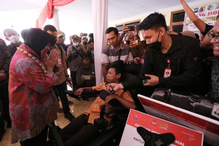 Social assistance nsap national programme Bansos wirausaha kemensos