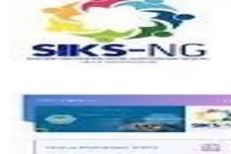 IMG_20240925_132308_copy_700x350-1076932759 (1)