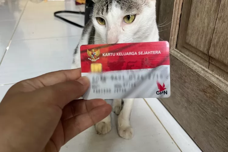 bansos, BPNT, Kemensos, KPM, PKH