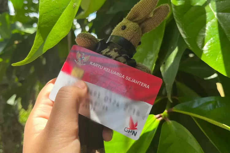 bansos, BPNT, Kemensos, KPM, PKH