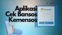 Cek bansos online, aplikasi cek bansos, bantuan sosial 2024, saldo bantuan cair, cara cek NIK, pencairan PKH, cek BPNT, bantuan pemerintah, unduh aplikasi bansos, verifikasi data