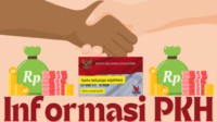 bansos PKH, saldo bansos, cek saldo PKH, bantuan keluarga, Kartu Keluarga Sejahtera, penyaluran bansos, PKH November-Desember, bantuan sosial, saldo KKS, komponen PKH, penerima bansos, cek bansos, KPM PKH, PKH 2024
