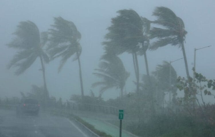 Rekor Hujan, Hujan Terlama, Cuaca Ekstrem, Oahu Hawaii, Pulau Oahu, Hujan 881 Hari, Hujan Nonstop, Hujan Panjang, Rekor Dunia, Cuaca Unik, Hujan Hawaii, Fenomena Alam, Curah Hujan, Topografi Pegunungan, Kondisi Atmosfer, angin pasat, berapa lama hujan, cuaca ekstrem, fenomena hujan, hawa dingin, Hawaii hujan, hujan orografis, hujan terlama, hujan terus, iklim Oahu, musim hujan, oahu hawaii, pegunungan Hawaii, pulau Oahu, rekor cuaca, rekor dunia, rekor hujan, uap air