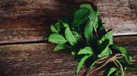daun mint, manfaat daun mint, pencernaan sehat, teh mint, redakan masuk angin, kesehatan mulut, sehatkan kulit, turunkan berat badan, manfaat kesehatan, herbal alami, diet sehat, pencernaan lancar, tubuh bugar, jerawat hilang, anti radang, detox alami