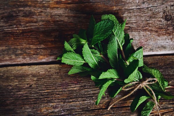 daun mint, manfaat daun mint, pencernaan sehat, teh mint, redakan masuk angin, kesehatan mulut, sehatkan kulit, turunkan berat badan, manfaat kesehatan, herbal alami, diet sehat, pencernaan lancar, tubuh bugar, jerawat hilang, anti radang, detox alami