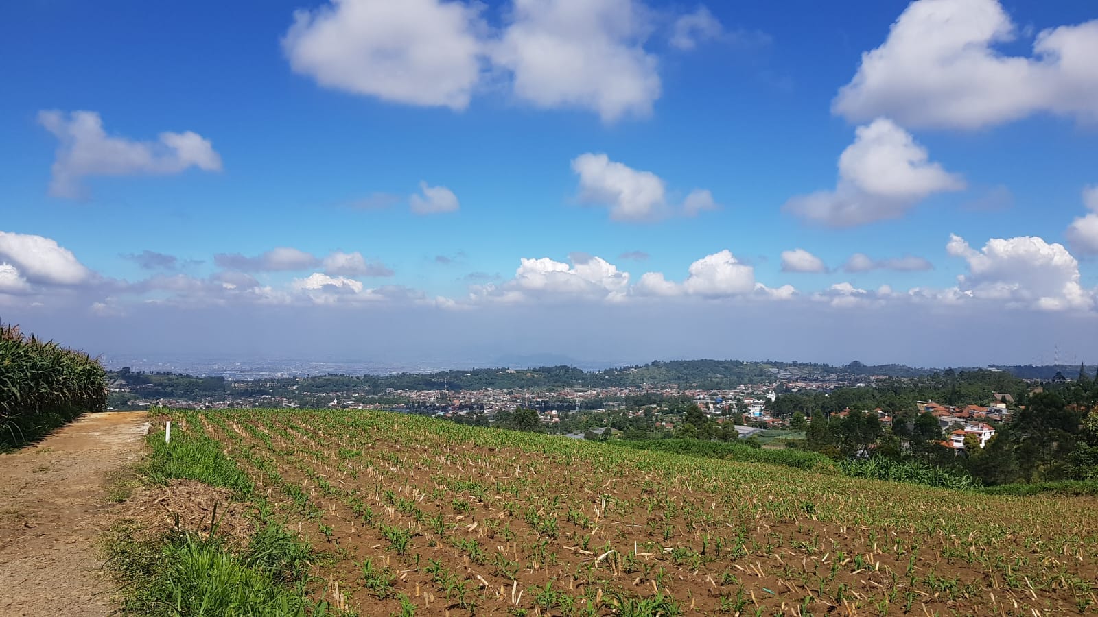 cek zona nilai tanah online, Cek Nilai Tanah, Tanah Online, Peta Zona Tanah, Harga Tanah, Zona Nilai Tanah, Transaksi Tanah, Bhumi ATR BPN, Data Nilai Tanah, Lokasi Tanah, Situs Cek Tanah, bhumi.atrbpn.go.id, Zona Nilai Tanah, Penilaian Tanah, Data Pembanding Tanah, Harga Properti, Metode Perbandingan, Tanah Kosong, Zona Nilai, Pembanding Pasar, Nilai Tanah, Penilaian Properti, Cek zona tanah, Peta digital BHUMI, Zona tanah online, BHUMI ATR BPN, Cek lokasi tanah, Tanah zona kuning, Cara cek zona, Investasi tanah aman, Zona tanah merah, Aplikasi BHUMI ATR