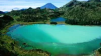 Puncak Bogor, wisata alam, Telaga Warna, Paralayang Puncak Pass, Agrowisata Gunung Mas, Taman Safari Indonesia, Dairyland Riverside, wisata keluarga, wisata seru, wisata alam Puncak, harga tiket terjangkau, aktivitas outdoor, liburan keluarga, wahana seru Puncak.