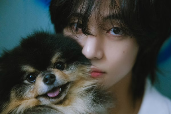 Yeontan V BTS, anjing kesayangan, kabar duka, BTS Instagram, ARMY, Kim Taehyung, Yeontan meninggal, V BTS sedih, kehilangan sahabat, anjing peliharaan.