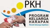 nik ktp penerima bansos, dana bansos pkh 2024, bansos PKH, cek NIK, e-KTP bantuan, penerima PKH, bantuan sosial, saldo cair, DTKS Kemensos, tahap bansos, keluarga miskin, bantuan pemerintah, KKS PKH