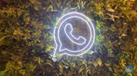 fitur meta ai whatsapp, Meta AI WhatsApp, cara aktifkan Meta AI, update WhatsApp terbaru, fitur Meta AI, WhatsApp chatbot AI, Meta AI Indonesia, aktifkan AI WhatsApp, cara pakai Meta AI, WhatsApp update terbaru, Meta AI WhatsApp cara pakai, fitur WhatsApp terbaru, chatbot WhatsApp AI