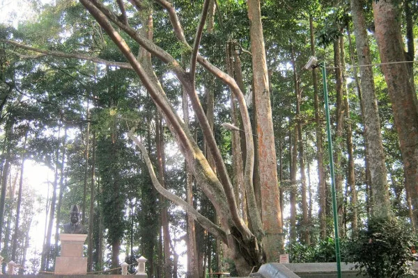 Dago Bandung, wisata hits, liburan seru, spot Instagramable, alam asri, air terjun, taman hijau, trekking seru, pemandangan kota, kuliner enak, seni kreatif, wisata teknologi, sunrise Tebing, Curug Dago, kampung virtual.