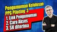 hasil PPG Piloting, cek kelulusan PPG, jadwal pengumuman PPG, UKPPPG 2024, pengumuman tahap 3, login SIMPKB, laman resmi PPG, cara cek hasil, info PPG terbaru, link UKPPPG, pengumuman ppg piloting 3, Cara cek PPG, Hasil PPG Piloting, Cek kelulusan UKPPPG, Situs ppg.kemdikbud, Login SIMPKB PPG, Nomor pendaftaran PPG, UKPPPG tahap 3, PPG 2024 kelulusan, Cara akses kelulusan, Tahap 3 PPG