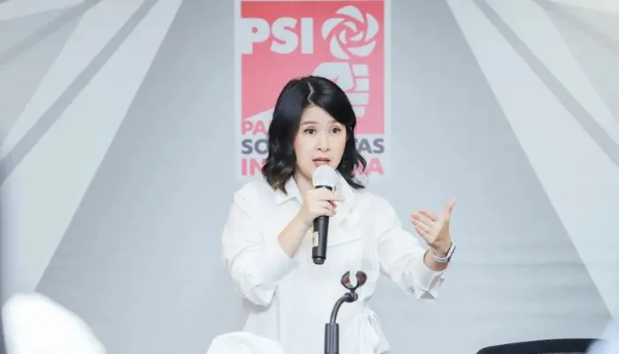 ps Bawaslu DKI, pemanggilan kampanye, Pilkada Jakarta, dugaan pelanggaran, politisasi SARA, klarifikasi kampanye, laporan masyarakat, pengawasan partisipatif, kampanye Pilkada, BUMN Grace Natalie.