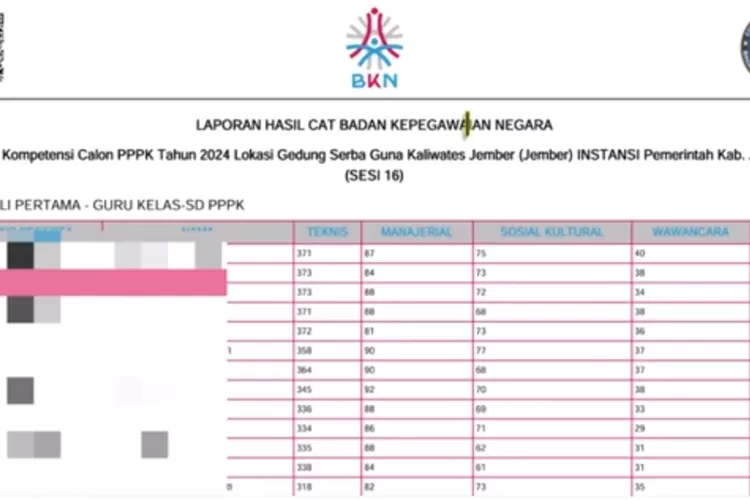 pengumuman PPPK, hasil seleksi PPPK, SSCASN instansi, BKN PPPK, pengumuman kelulusan, seleksi tahap pertama, honorer PPPK, peserta PPPK 2024, formasi PPPK, Panselnas PPPK, pengumuman resmi, jadwal seleksi PPPK, tenaga honorer, seleksi pppk