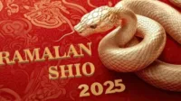 Shio Ular 2025, Ramalan Shio Ular, Karir Shio Ular 2025, Keuangan Shio Ular, Asmara Shio Ular, Investasi Shio Ular, Perencanaan Shio Ular, Kesehatan Shio Ular, Cinta Shio Ular, Peruntungan Shio Ular, Tahun 2025 Shio Ular, Tips Shio Ular 2025, Shio Ular Tahun Baru, Saran Shio Ular 2025, Karir dan Keuangan, Shio Ular