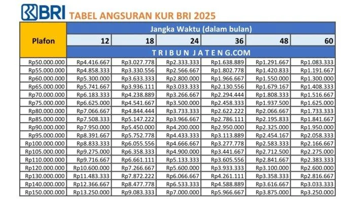 bunga KUR 2025, dokumen KUR 2025, KUR BRI, KUR BRI 2025, KUR Kecil BRI, KUR Mikro BRI, KUR TKI 2025, pinjaman usaha kecil, plafond KUR BRI, syarat KUR BRI, tabel angsuran KUR, tabel pinjaman, tabel pinjaman KUR BRI 2025