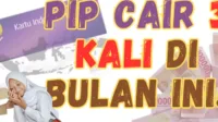 PIP Kemendikbud, cek dana PIP, pencairan PIP 2025, jadwal PIP Januari, PIP siswa SD, dana siswa SMP, bantuan siswa SMA, pip.kemdikbud.go.id, cara cek PIP, termin pencairan PIP