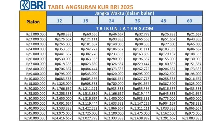bunga KUR 2025, dokumen KUR 2025, KUR BRI, KUR BRI 2025, KUR Kecil BRI, KUR Mikro BRI, KUR TKI 2025, pinjaman usaha kecil, plafond KUR BRI, syarat KUR BRI, tabel angsuran KUR, tabel pinjaman, tabel pinjaman KUR BRI 2025