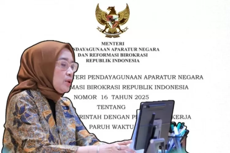 PPPK paruh waktu, kontrak PPPK, aturan MenPANRB, pengangkatan PPPK, evaluasi kinerja, tenaga honorer, SKP pegawai, formasi PPPK 2024, regulasi MenPANRB, status kepegawaian