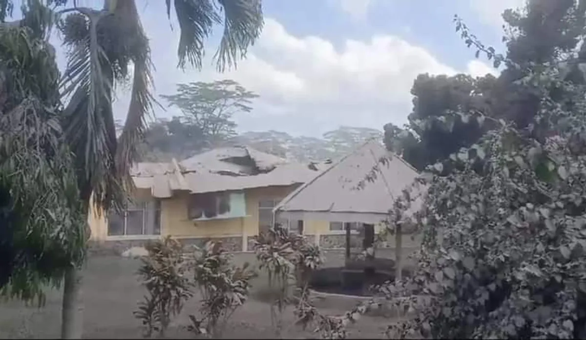 Gunung Lewotobi, erupsi gunung, abu vulkanik, Kabupaten Flores Timur, lahan pertanian rusak, bantuan pemerintah, bencana alam, pemulihan ekonomi, bantuan pangan, distribusi beras, tanaman rusak, potensi erupsi, musibah gunung, recovery pertanian, musim hujan, distribusi benih, pertanian pasca-erupsi, cuaca buruk, kerusakan lahan.