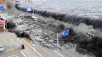 Gempa Jepang, Tsunami kecil, Magnitudo gempa, Palung Nankai, Jepang Cincin Api, Gempa megathrust, Latihan darurat Jepang, Bangunan tahan gempa, Info gempa Jepang, Tsunami Fukushima