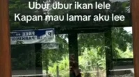 kumpulan pantun ubur ubur ikan lele, kumpulan pantun, ubur ubur ikan lele, pantun ubur-ubur, video TikTok viral, ubur-ubur ikan lele, pantun lucu viral, TikTok kreatif, pantun TikTok lucu, tren TikTok terbaru, pantun populer TikTok, ubur-ubur viral, pantun FYP, pantun kocak TikTok, ubur-ubur