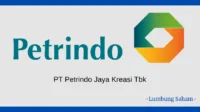 Saham CUAN, MSCI Februari, Profit Taking, Kinerja Petrindo, Saham Untung, Petrindo Jaya Kreasi, Barito Group, Indeks Saham, Investasi Saham, Cuan Gede, Laba Bersih CUAN, Saham Naik