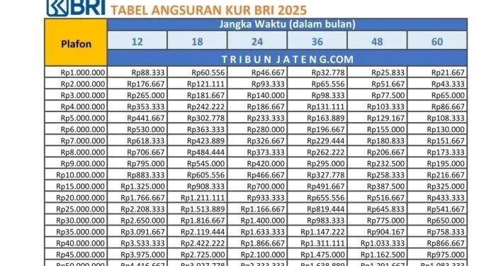 KUR BRI, pinjaman usaha, cicilan rumah, syarat KUR, kredit usaha kecil, agunan KUR, tips pinjaman BRI, pengajuan kredit, usaha mikro kecil, pinjaman tanpa jaminan