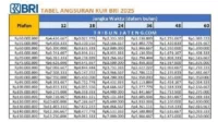 KUR BRI 2025, tabel KUR BRI, cara ajukan KUR, syarat KUR BRI, pinjaman UMKM BRI, angsuran KUR 2025, plafon pinjaman BRI, KUR mikro BRI, KUR kecil BRI, pinjaman bunga ringan, cara pinjam online, kredit usaha rakyat, KUR BRI