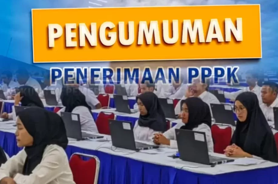 nasib honorer, seleksi PPPK, PPPK tahap 1, PPPK tahap 2, UU Nomor 20, penghapusan honorer, daftar PPPK, gagal seleksi PPPK, PPPK part-time, approval instansi, seleksi PPPK 2024