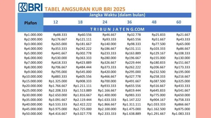 bunga KUR 2025, dokumen KUR 2025, KUR BRI, KUR BRI 2025, KUR Kecil BRI, KUR Mikro BRI, KUR TKI 2025, pinjaman usaha kecil, plafond KUR BRI, syarat KUR BRI, tabel angsuran KUR, tabel pinjaman, tabel pinjaman KUR BRI 2025
