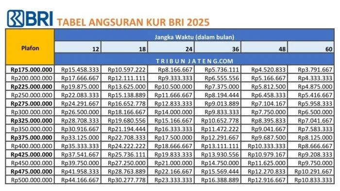 angsuran KUR, bisnis lancar, bunga rendah, cara pengajuan, cicilan ringan, debitur UMKM, investasi usaha, kredit mikro, kredit usaha, KUR 2025, KUR BRI, KUR kecil, modal kerja, pinjaman BRI, pinjaman modal, plafon KUR, Suku Bunga, syarat KUR, tabel angsuran, Tabel KUR BRI 2025, UMKM maju