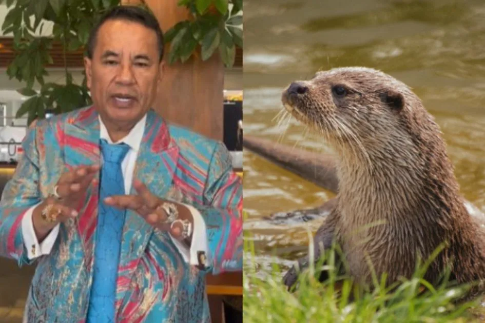 hotman digigit berang berang, hotman paris, berang berang, Hotman Paris, kesehatan Hotman, pengacara terkenal, gigitan berang-berang, kasus Hotman, Hotman pingsan, persidangan Hotman, HB darah rendah, Hotman sakit, pengacara top, berita Hotman, kasus pencemaran, persidangan Jakarta, pengadilan negeri, Hotman Singapura, jet pribadi Hotman, kondisi Hotman, berita terkini, sidang ditunda, pengacara kondang