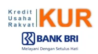 KUR BRI, pinjaman UMKM, KUR Mikro, KUR Kecil, KUR TKI, bunga rendah, pinjaman usaha, modal usaha, pengajuan KUR, Bank BRI
