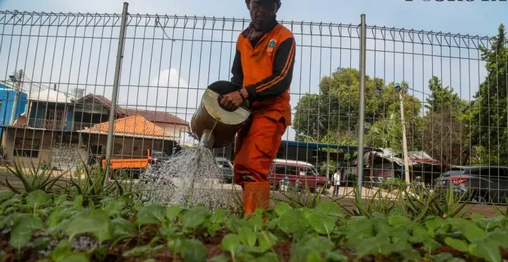 loker PPSU, gaji UMR Jakarta, lowongan kerja Jakarta, syarat PPSU 2025, Pemprov DKI, rekrutmen PPSU, Chico Hakim, Pramono Anung, kerja di kelurahan, kontrak 3 tahun