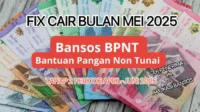 bansos_bont bansos bpnt 2025, cek penerima bansos, aplikasi cek bansos, jadwal bansos mei, DTSEN kemensos