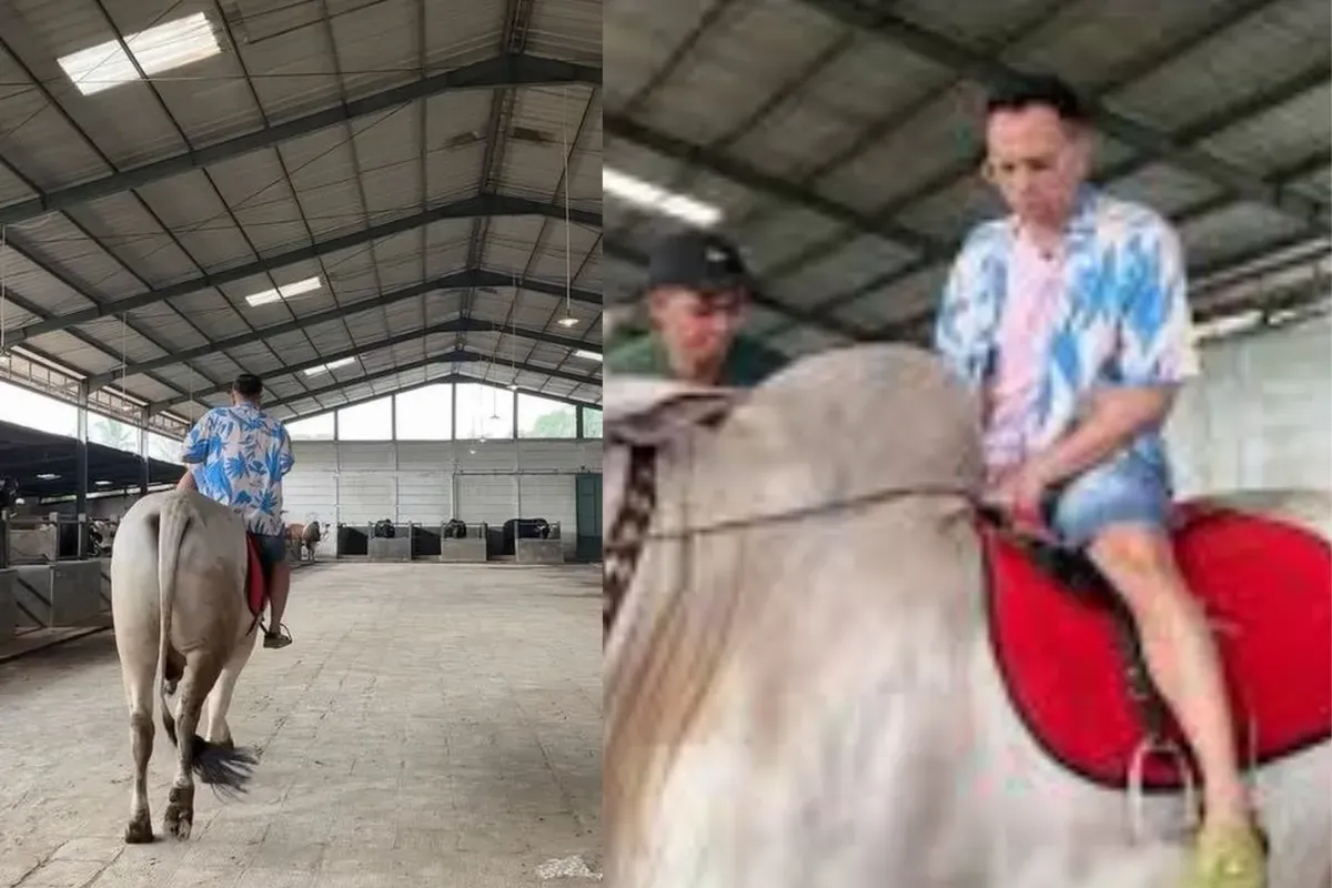 Raffi Ahmad kurban, sapi jumbo Raffi, Irfan Hakim peternakan, kurban artis 2025, nama sapi lucu, makna sosial kurban, harga sapi fantastis, sahabat selebriti, panutan Gen Z, tradisi kurban modern.