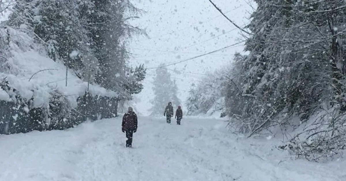 salju Indonesia, hoax viral, BMKG bantah, iklim tropis, Puncak Jayawijaya, perubahan iklim, es abadi Papua