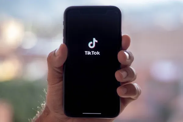 download tiktok tanpa watermark, simpan video tiktok, cara pakai VidGap, unduh tiktok gratis, tiktok downloader online, video tiktok offline