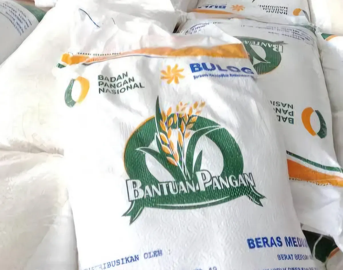 1000003274 bansos beras 20 kg, cara cek bansos, DTKS Kemensos, cek bantuan online, bansos Juli 2025, cara daftar bansos.
