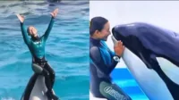 Jessica Radcliffe, pelatih orca, video viral, serangan orca, berita hoax, orca pembunuh, paus orca, video AI, hoax viral, paus pembunuh