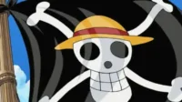 bendera Jolly Roger, One Piece Indonesia, semangat kemerdekaan, simbol bajak laut, budaya pop anime, perayaan 17 Agustus, generasi muda kreatif