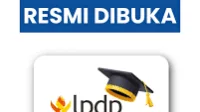 Pendidikan
