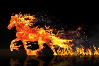 2026, Imlek, Kuda Api, Shio, Tahun