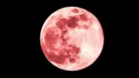 Asal, Bulan, Indonesia, IndonesiaBulan, Moon  April, Nama, Pink, Purnama, Waktu